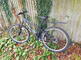 Second-Hand Bikes, Bicycles \u0026 Cycles for Sale in Seaford, East Sussex | Gumtree